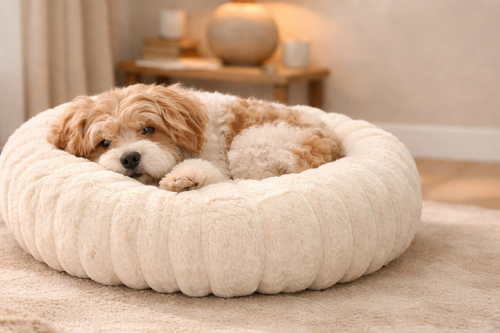 Beruhigendes Donut Hundebett – Erstklassiges Anti-Angst-Hundebett
